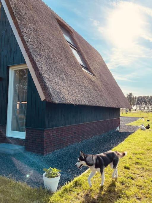 Cozy Appartment On The Farm Loenen aan de Vecht Extérieur photo